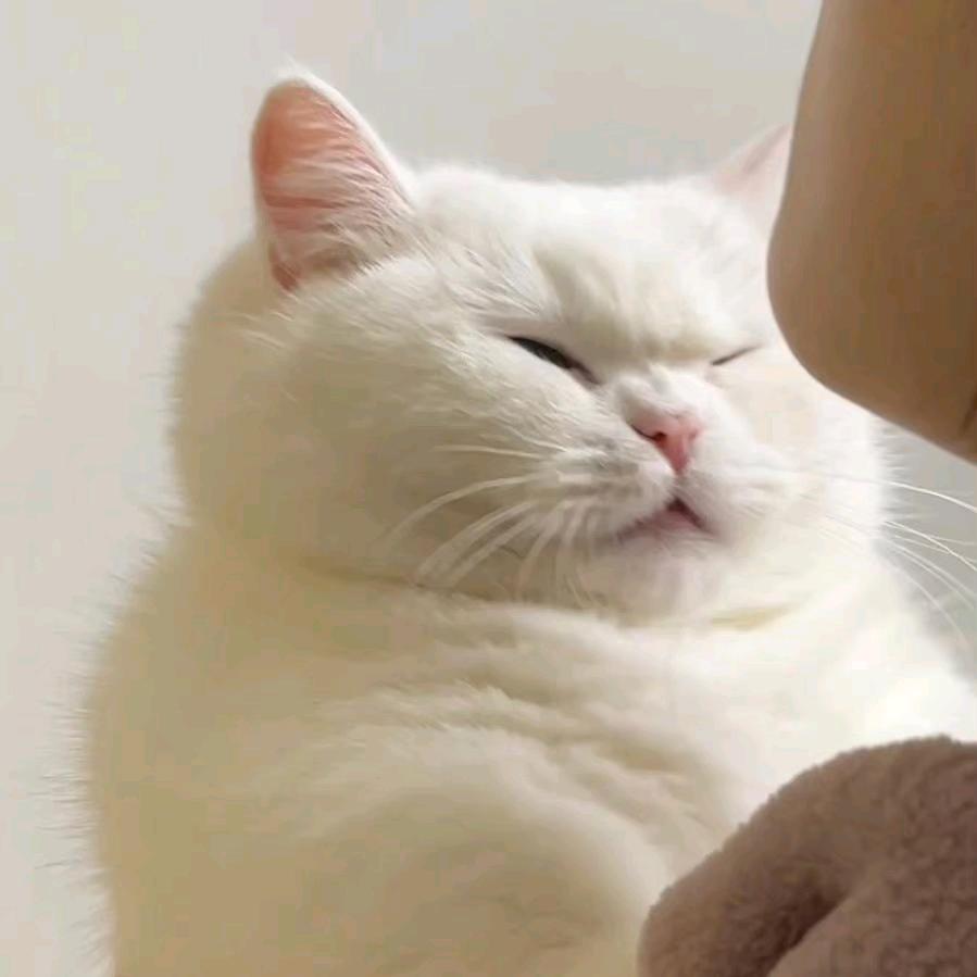 呵呵