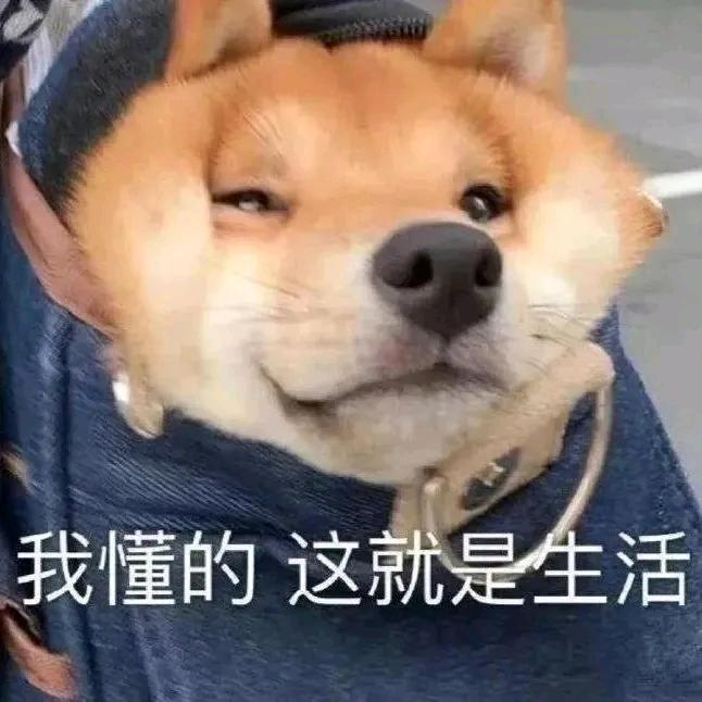 P🍠