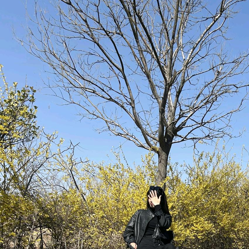 邻家小琳