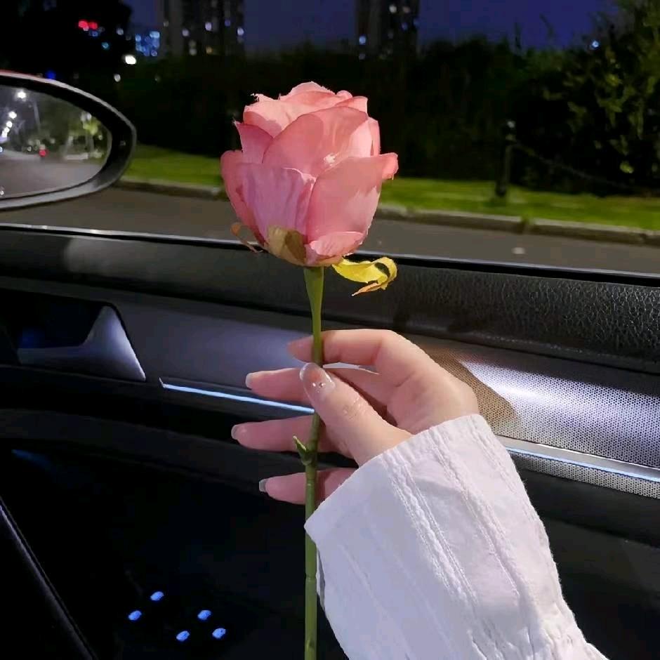💞᭄᪲ᩚ꯭随心꧔ꦿ℘所于💕এ⁵²º?