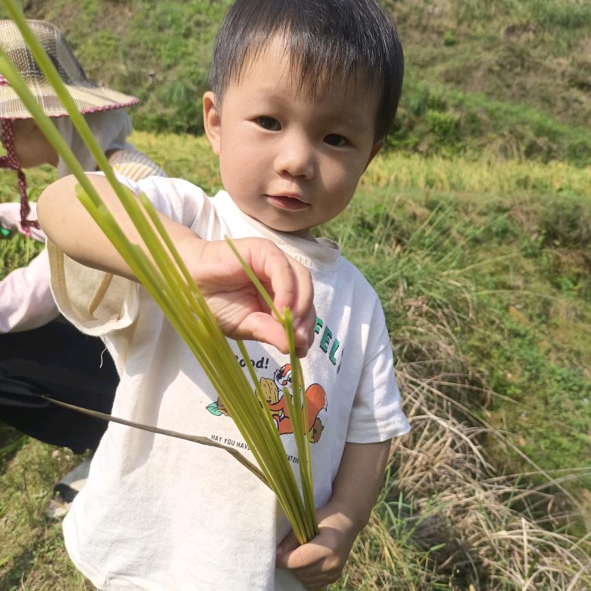 \(ﾋ•ω•ﾏ)已大叔