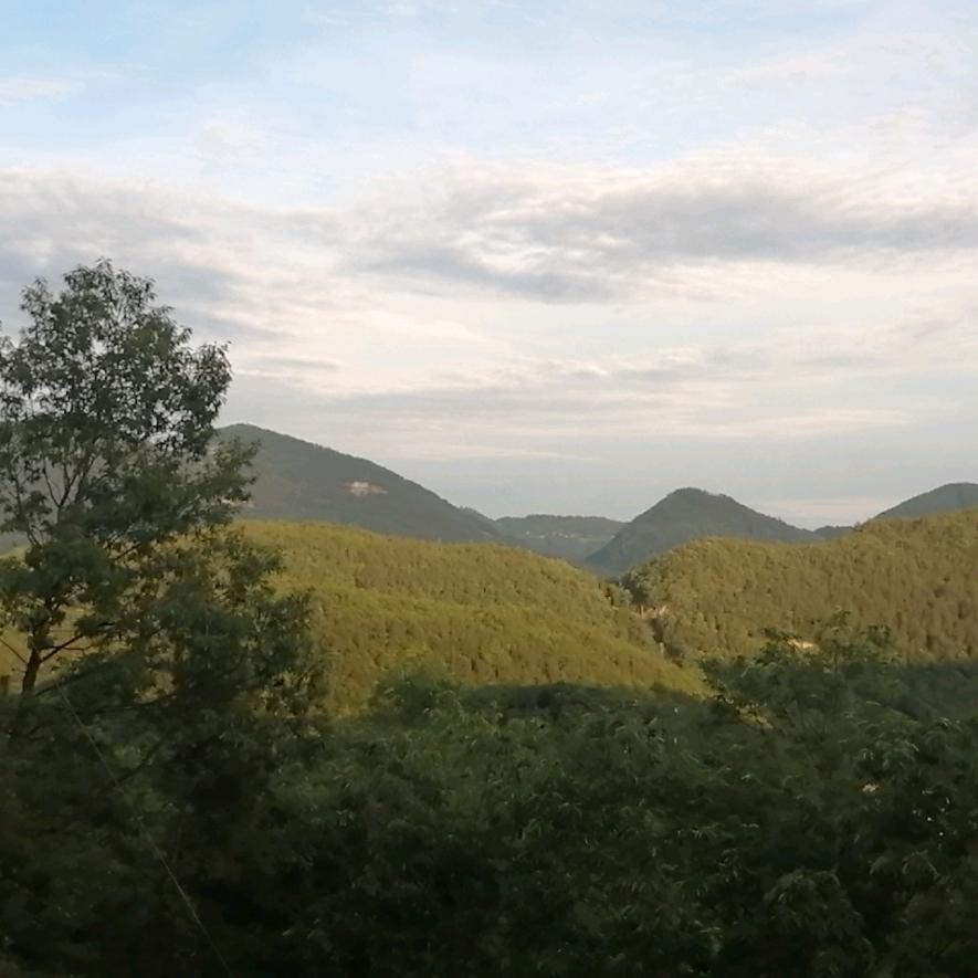 青山绿水