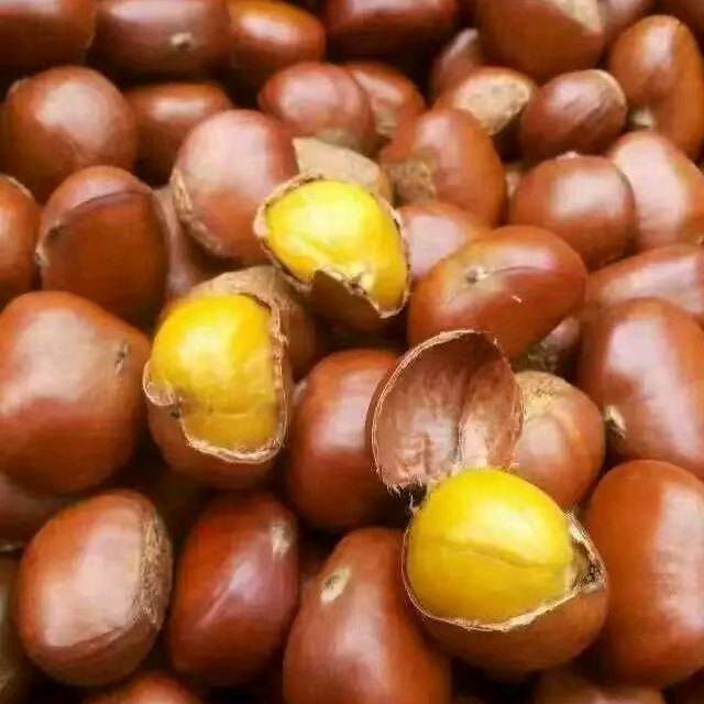 迁西县爱武板栗专业合作社