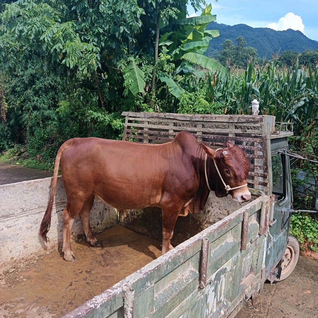 单身的重新开始新的生活得不到的爱就放手吧