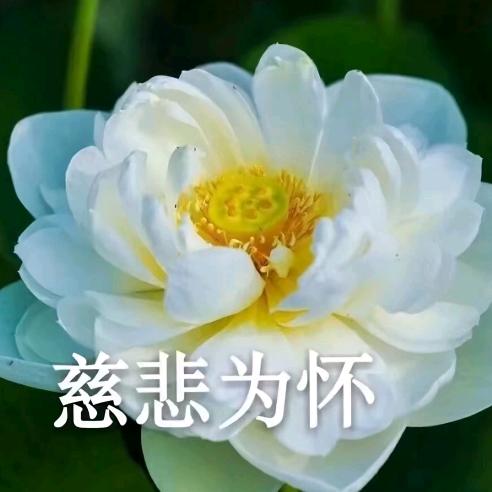 Aaaaa市场批发小陈