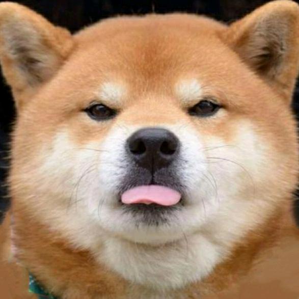 一天到晚打酱油