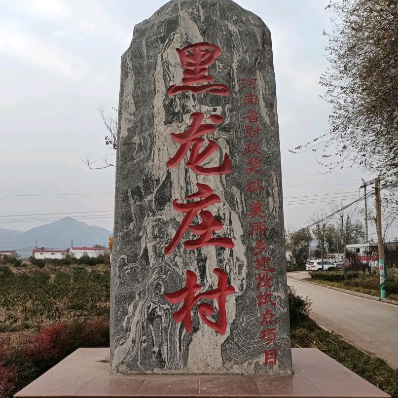 龙庄人家