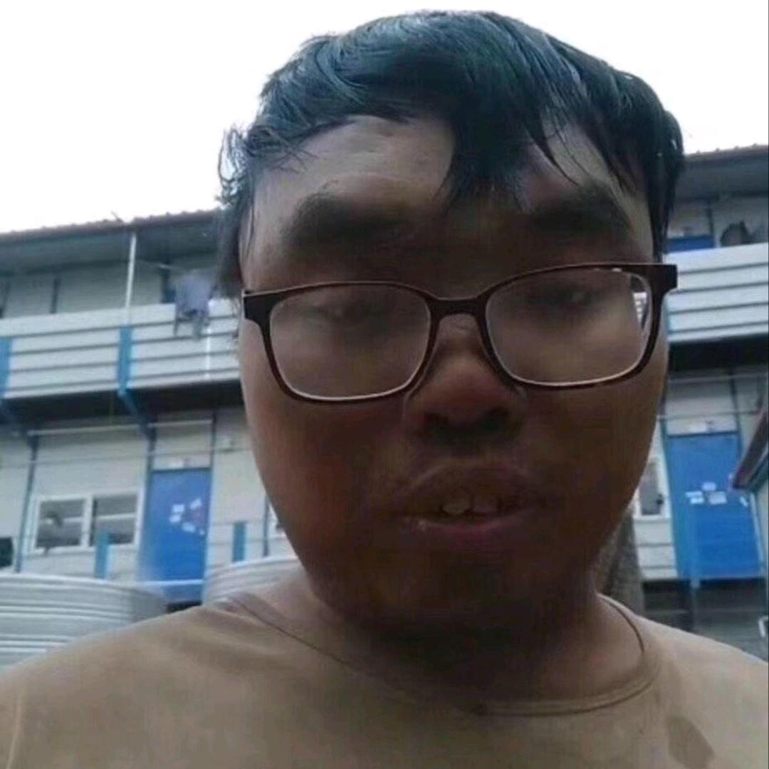 有情绪的木头人