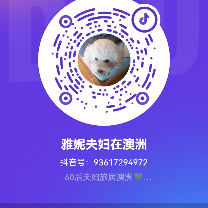 用户