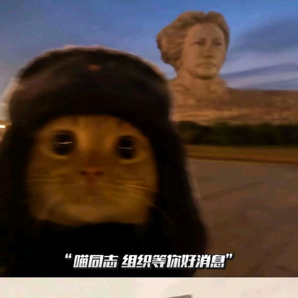 王八吃小鱼（专注主线）