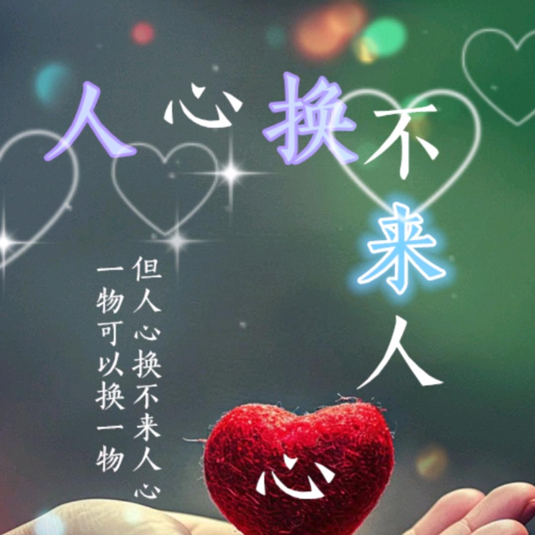 命中注定我爱你