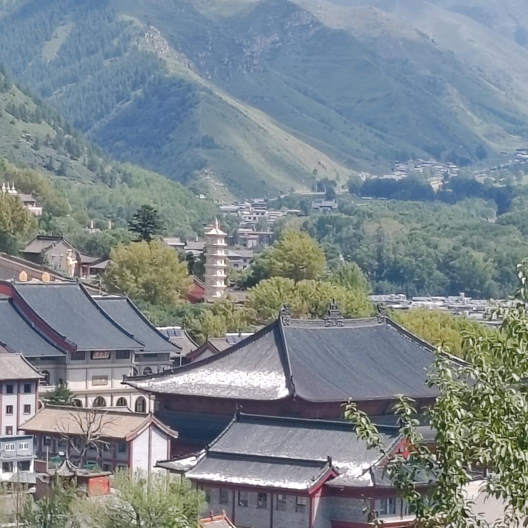 阳光