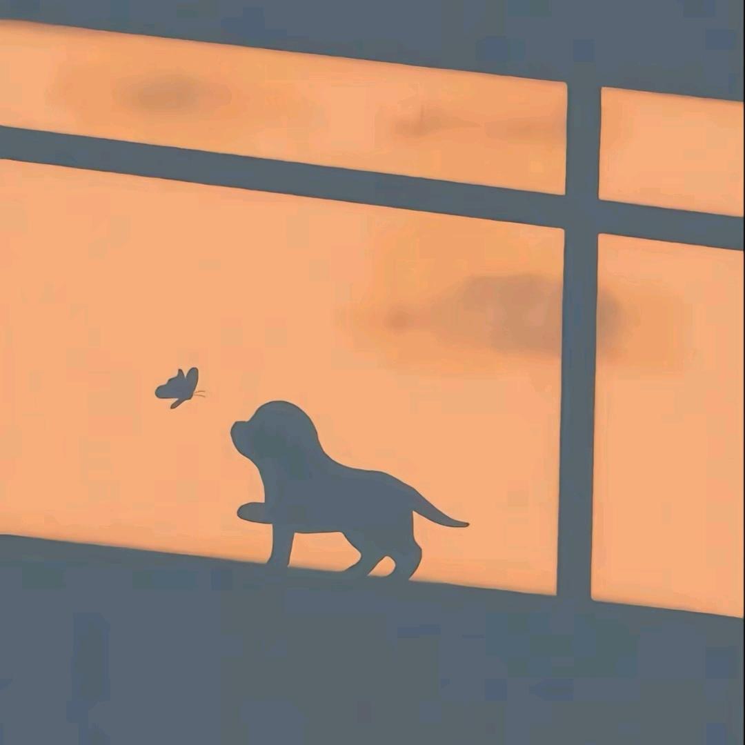 、{范先生。 💗