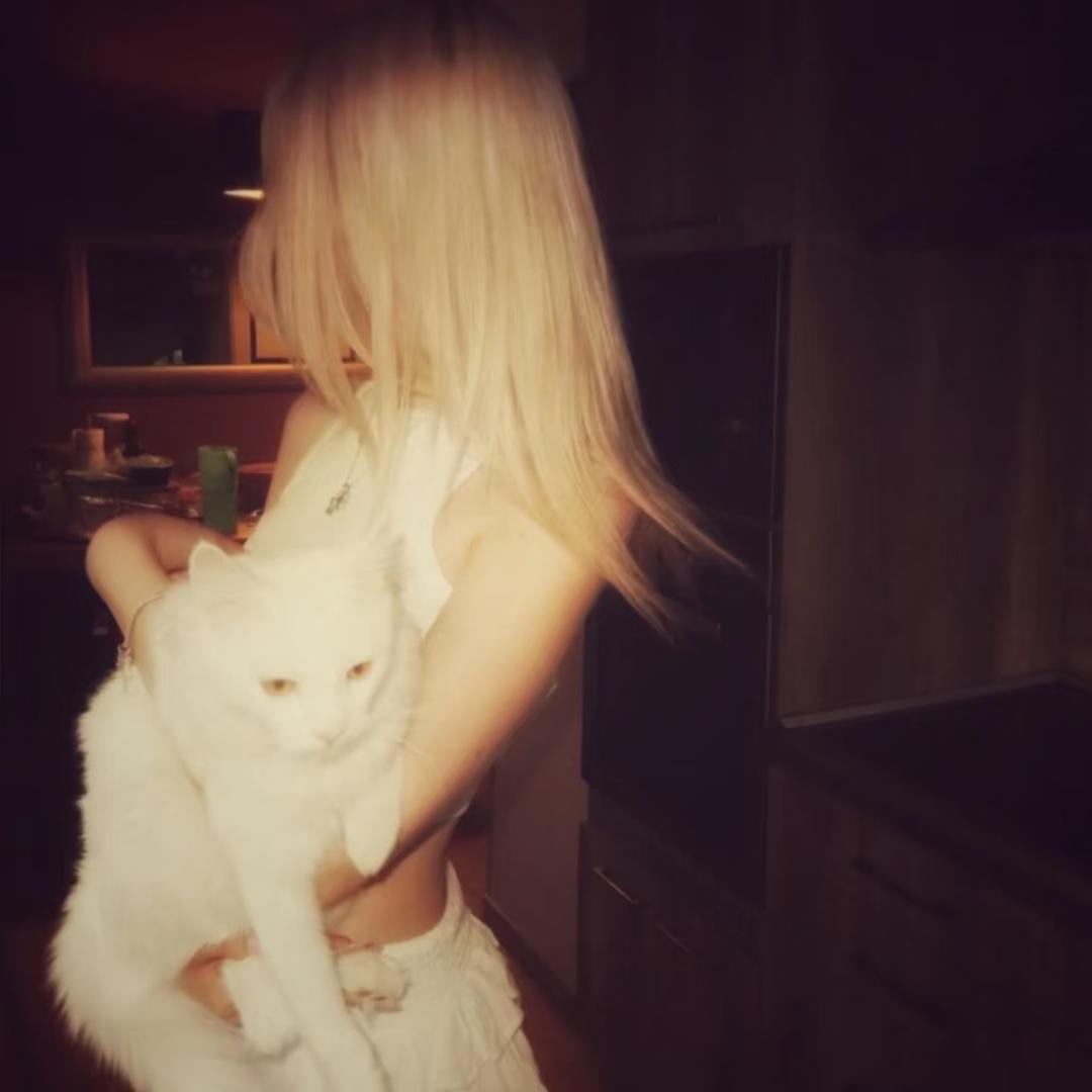 kittenblanki.