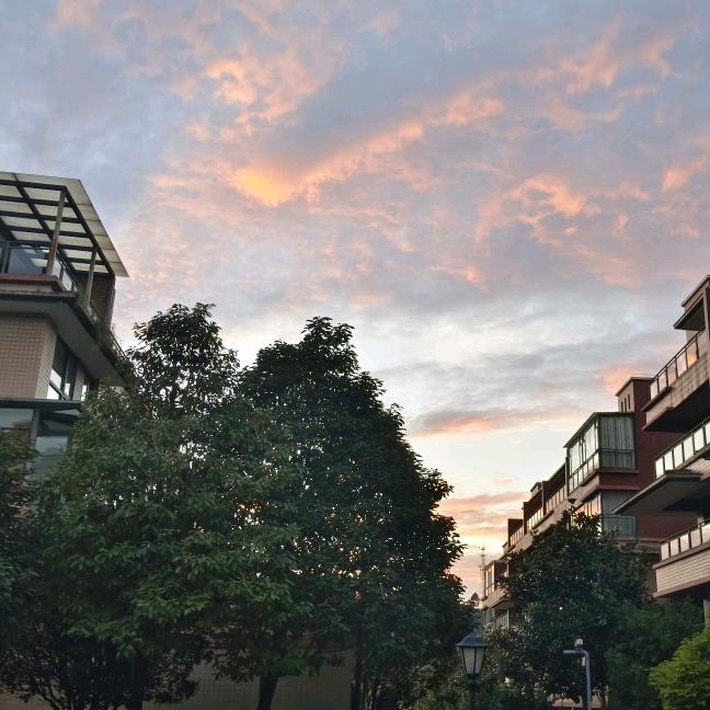 陽☀️