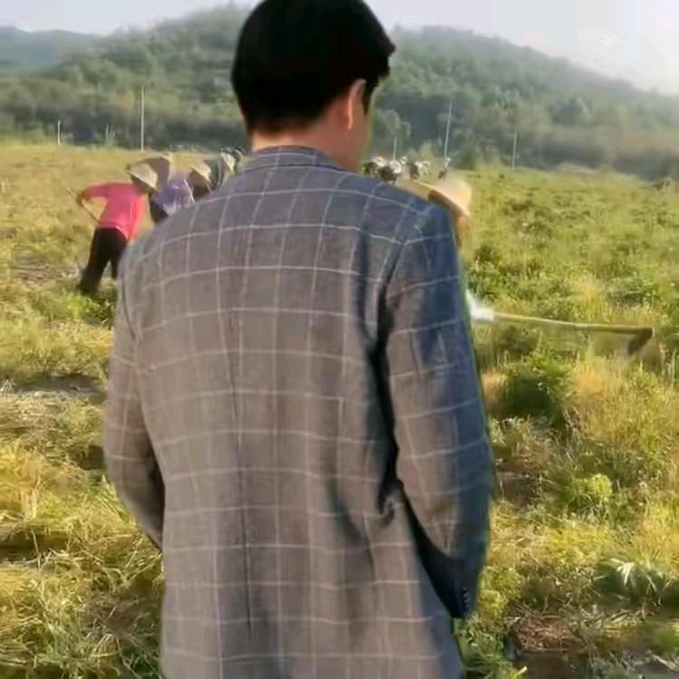 爱秀秀
