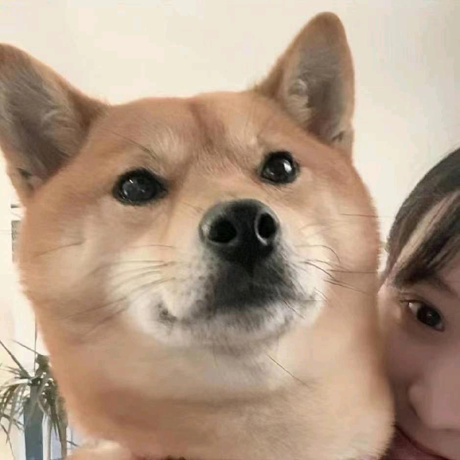 逃离塔科夫欲望