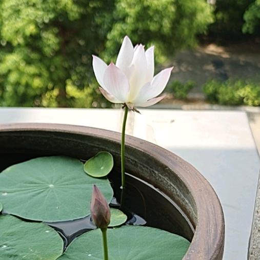 闲杂小铺子