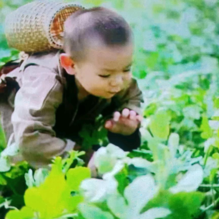 单身。找有缘人。