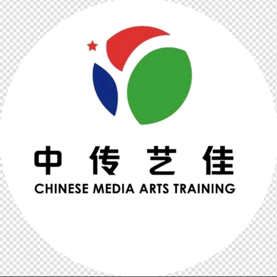 中传艺佳