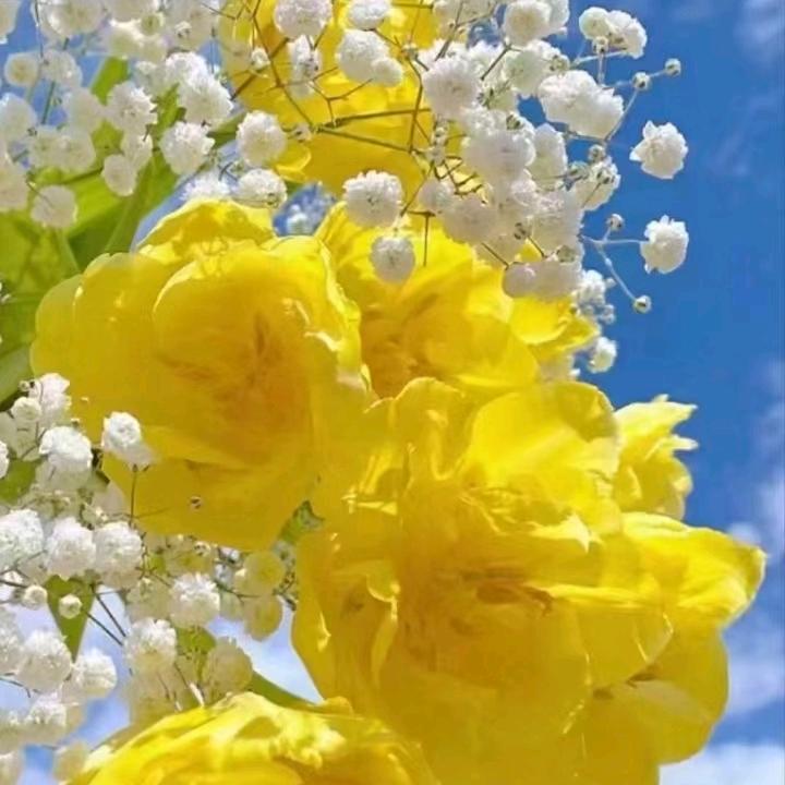 往后余生善待自己，