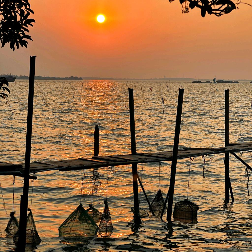 小渔村原著【龙虾尾】