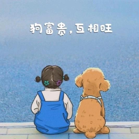 @喵喵喵喵喵