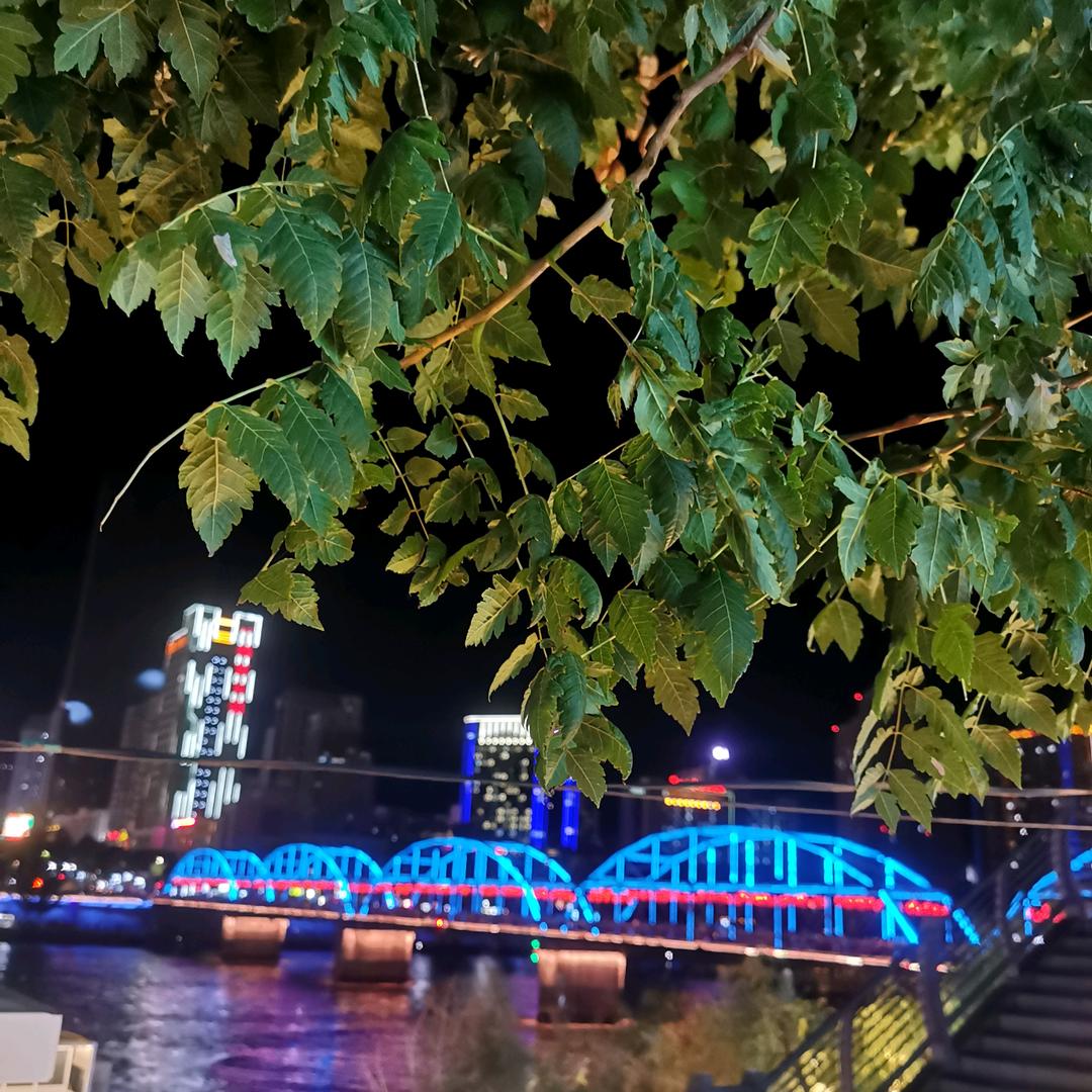 一叶一菩提⭐