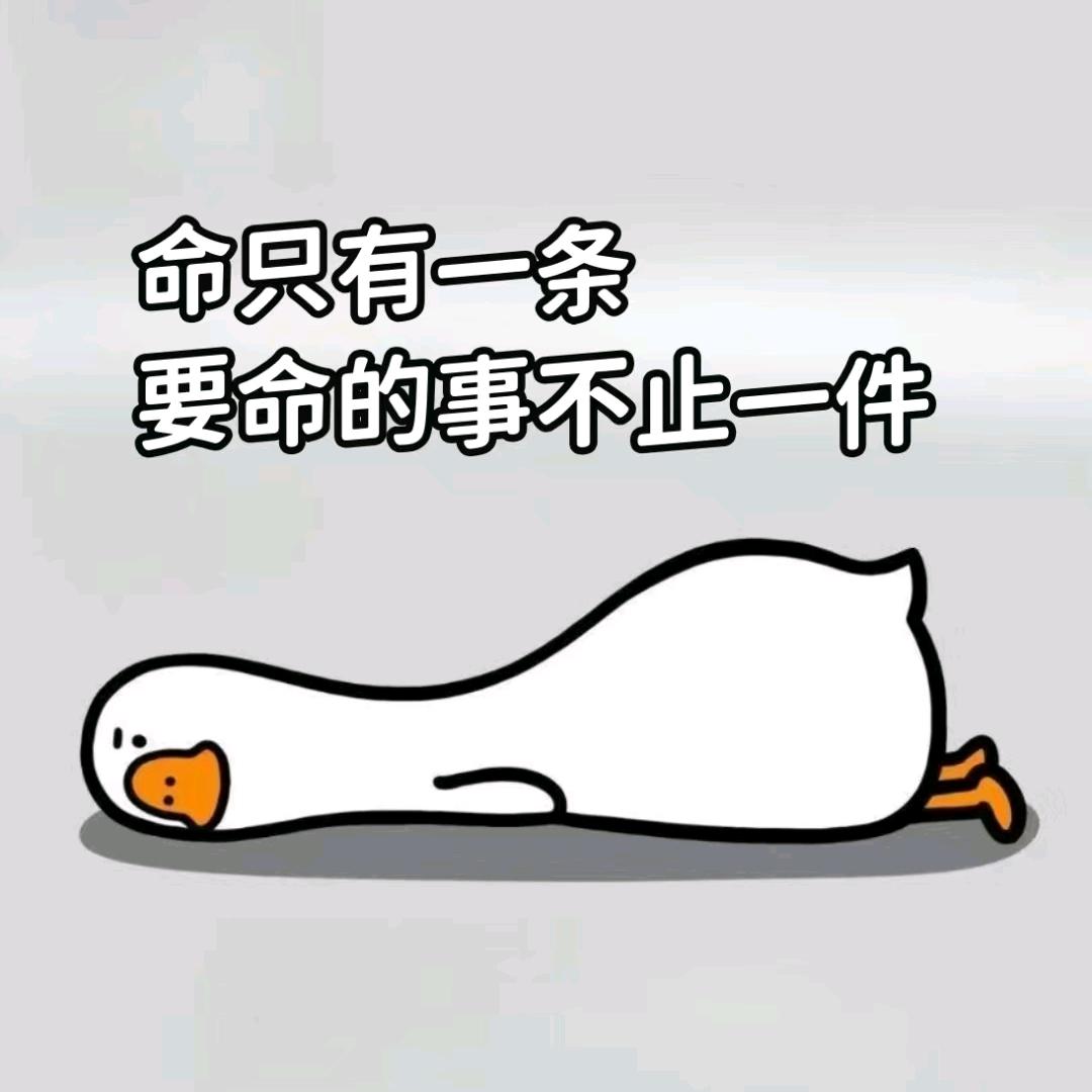 秋天的枫叶🍁