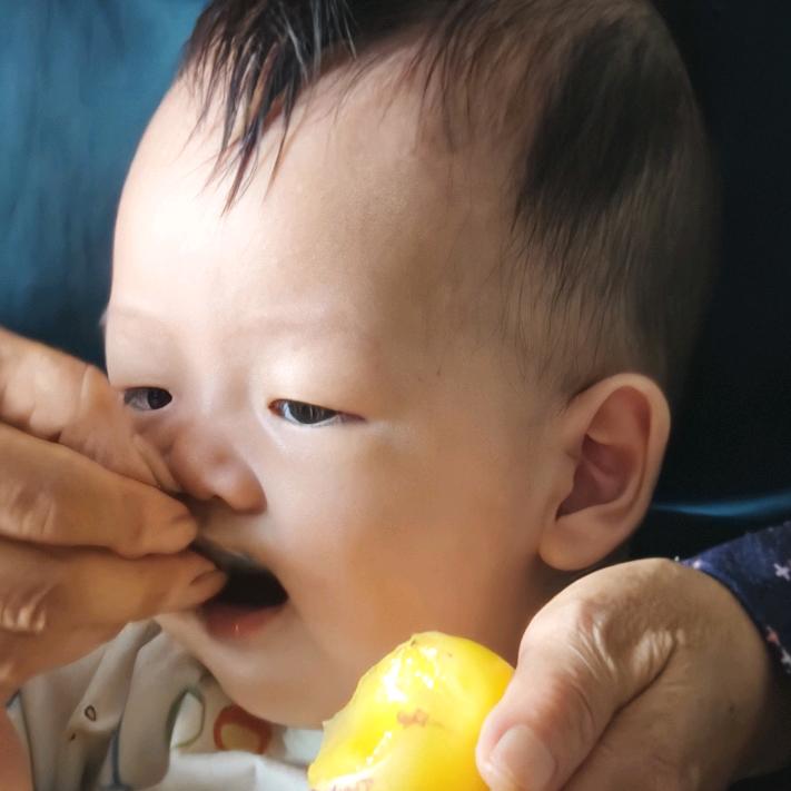 晋怼怼爱怼怼