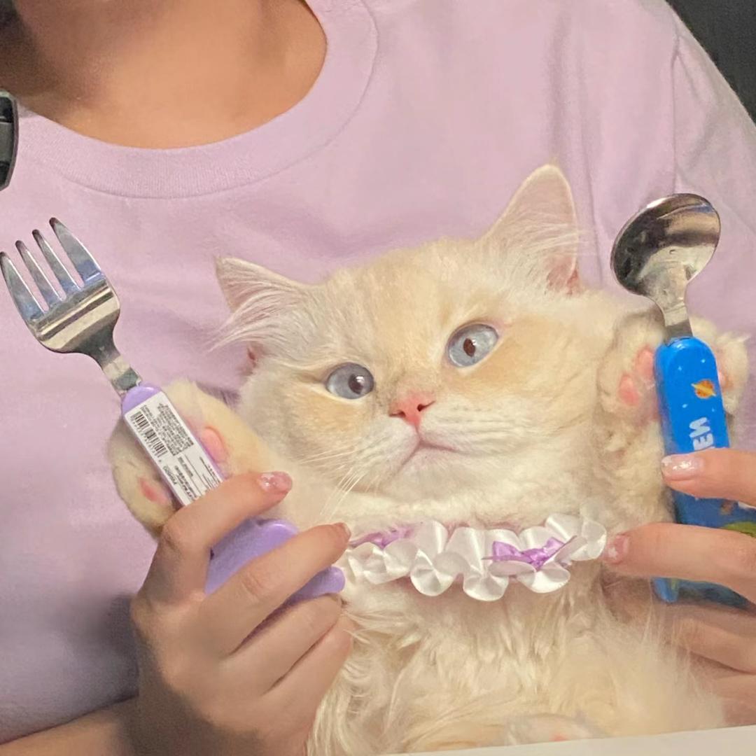 深蓝头像