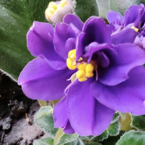 沉默不语（拒绝私聊）