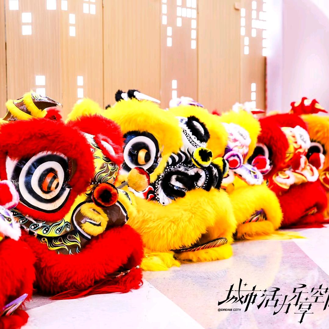 贵州国鸿醒狮团