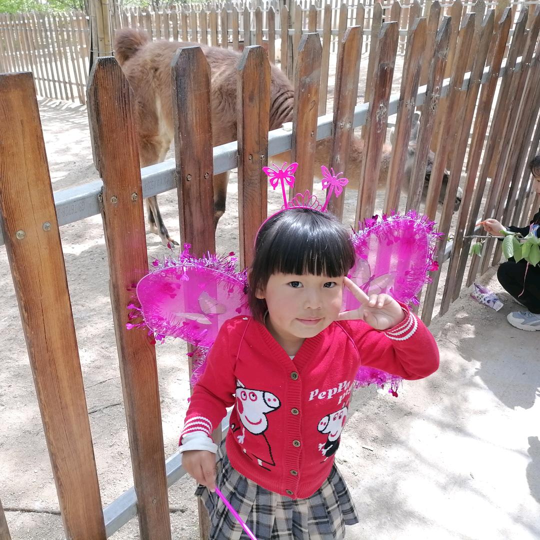 未来可期🌻🌻