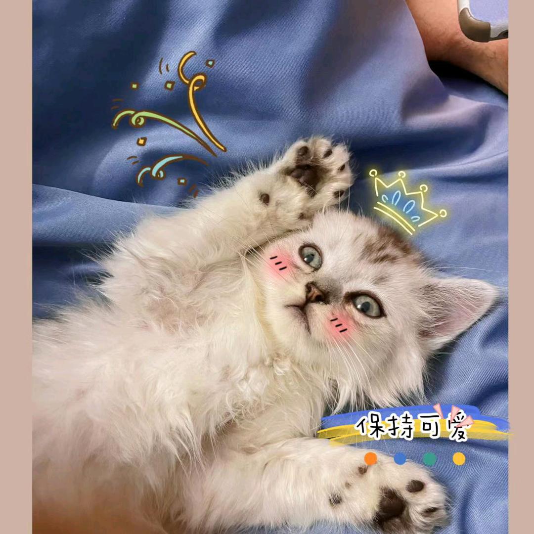 🌈武汉索菲亚全屋定制