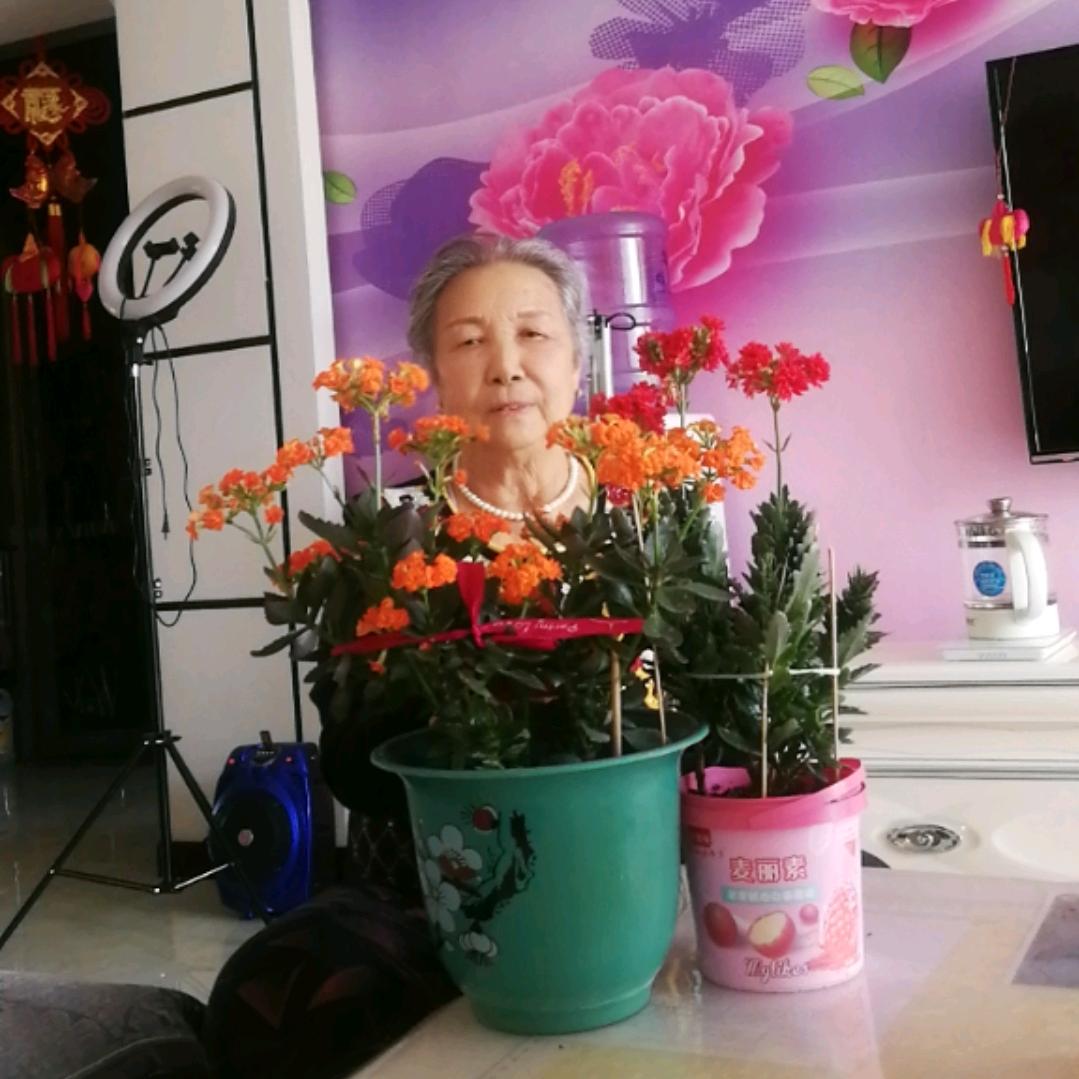 老奶奶宝姐