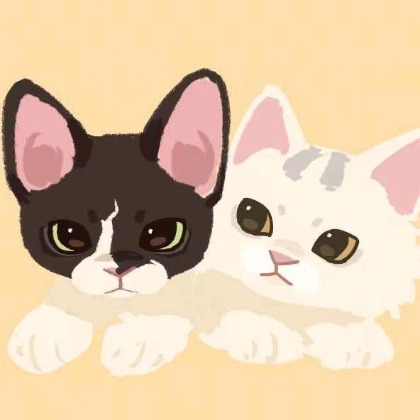 达芬奇，拉斐尔和猫