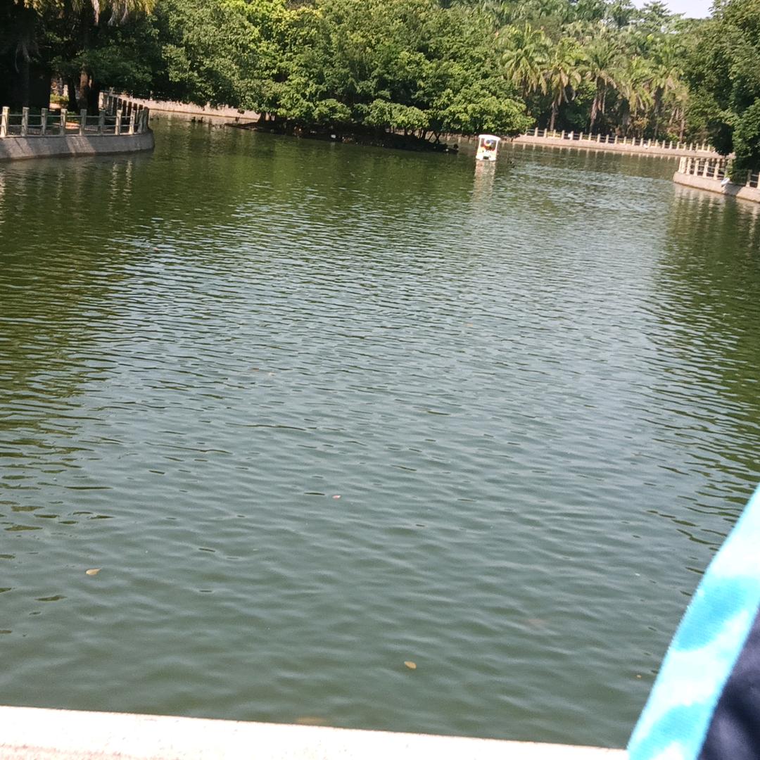 活活吉尾魚🐟🐟🐟🐟🐟