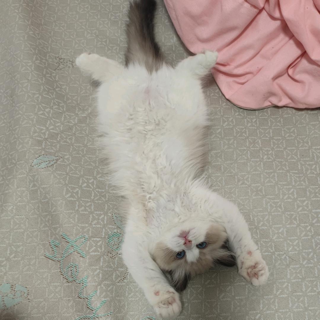 我不是滕滕