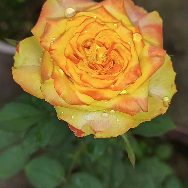 开心😁过好每一天