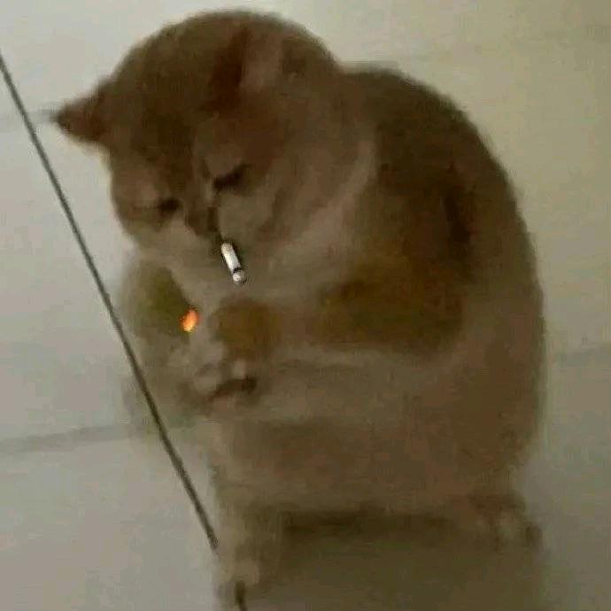 none大滴滴