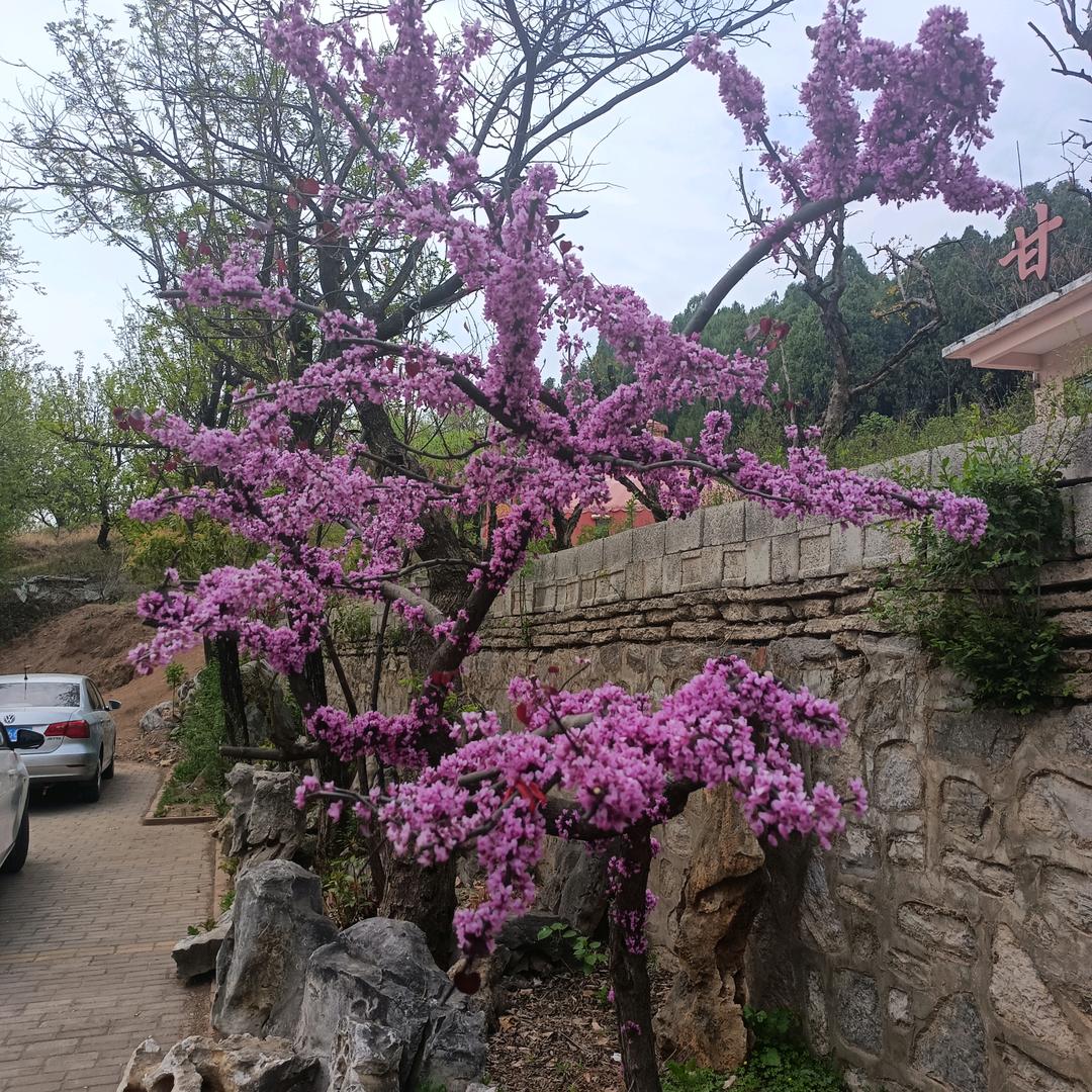 开开心心每一天