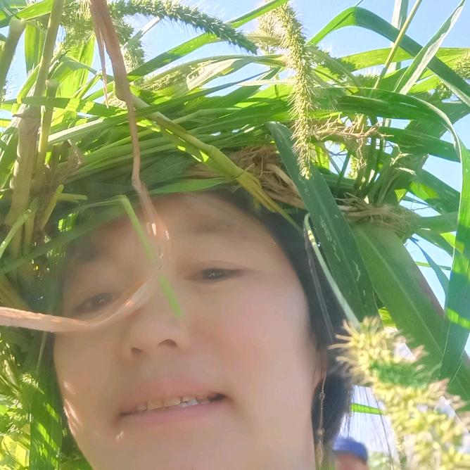 王家姑娘