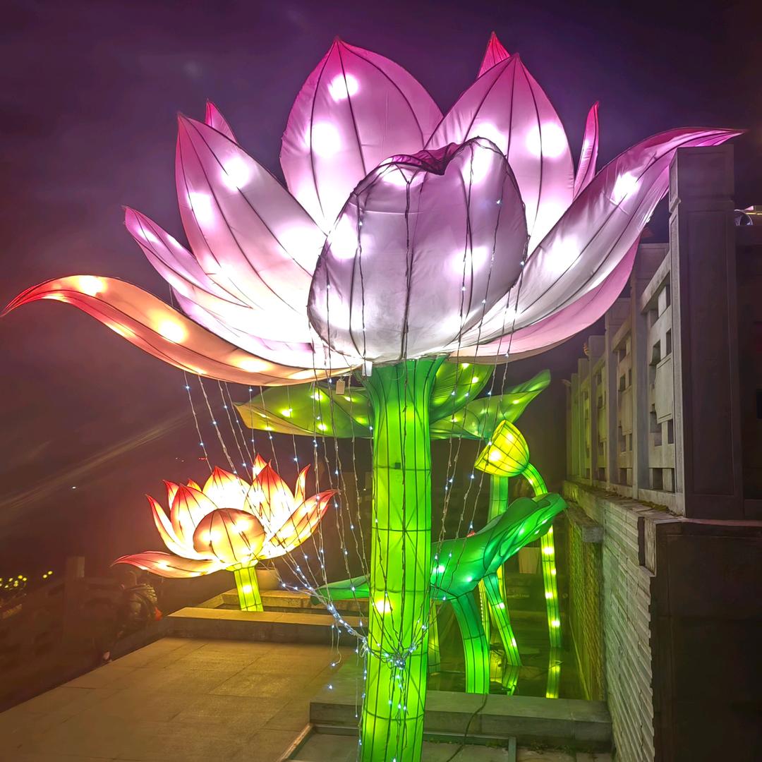 一生有你