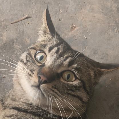 别想动我的好运