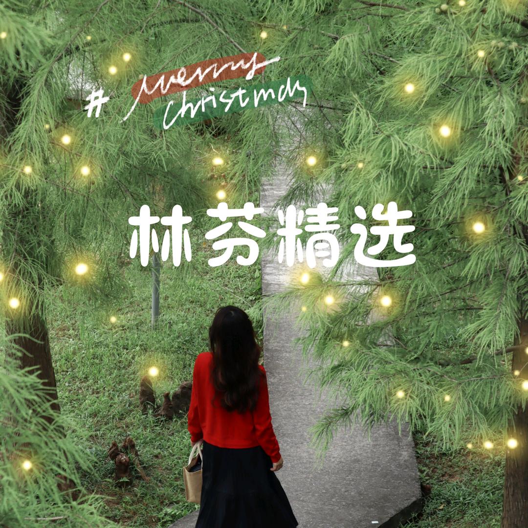 林芬精选