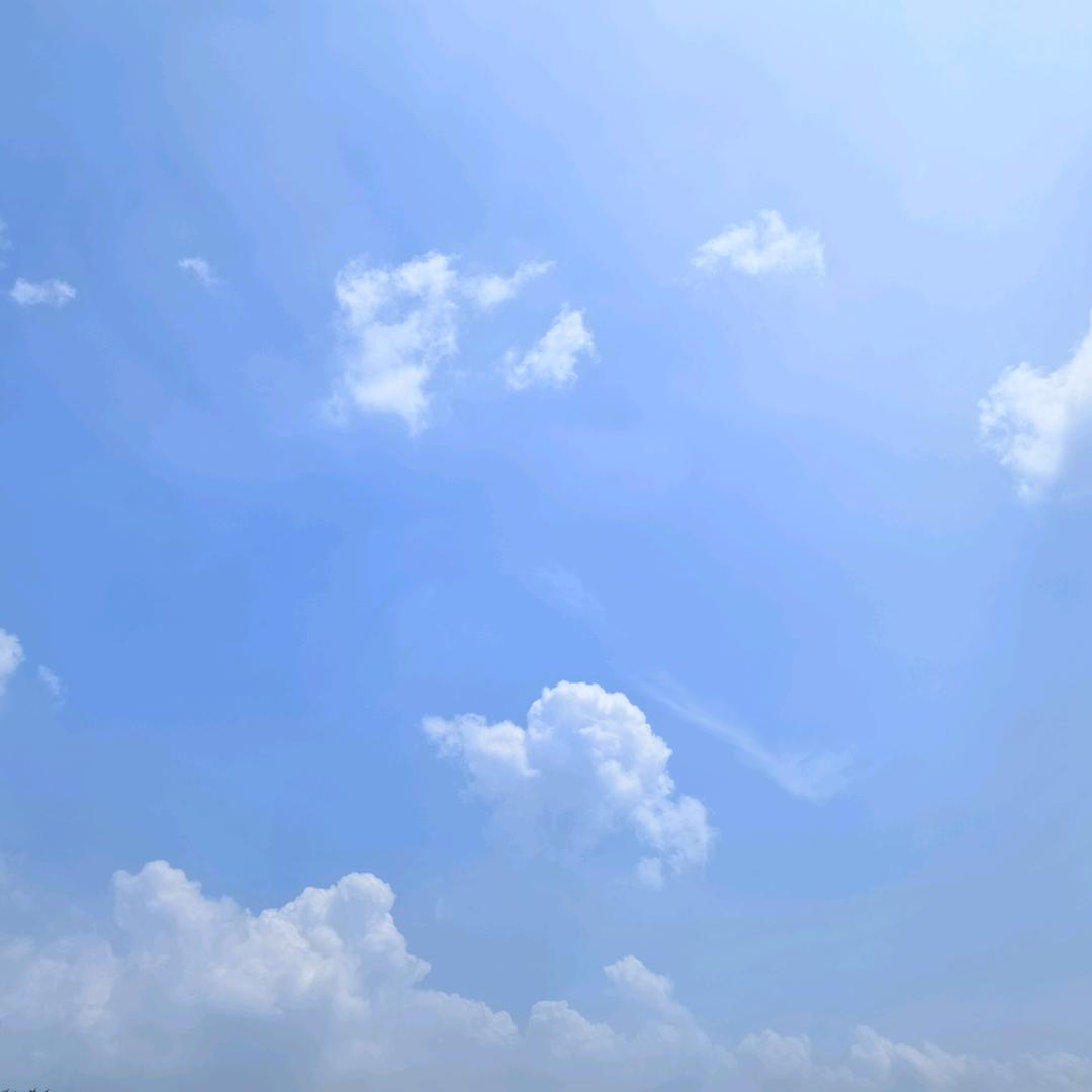 飞翔的兔子
