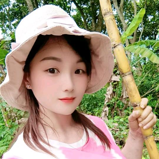 群梅