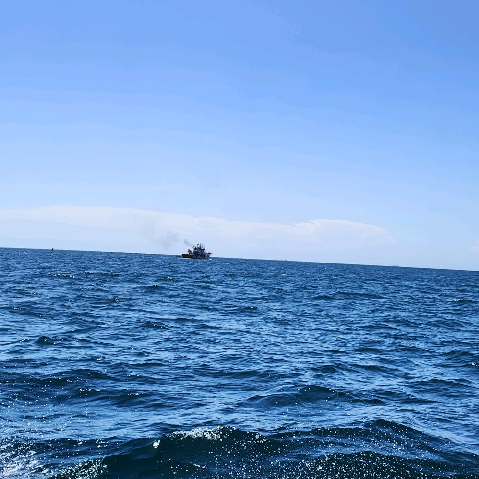 浮生半日闲