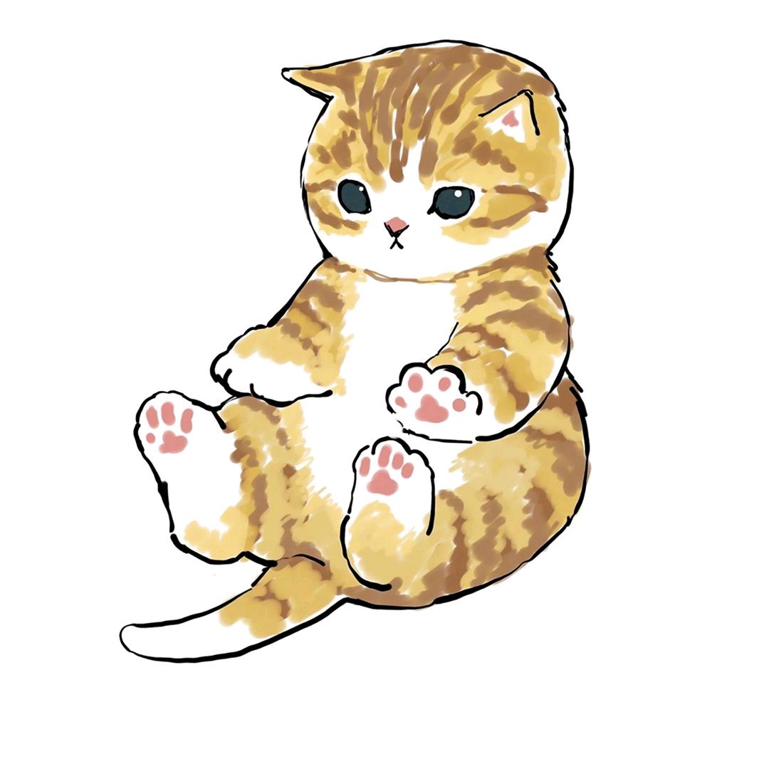 猫咪在流浪